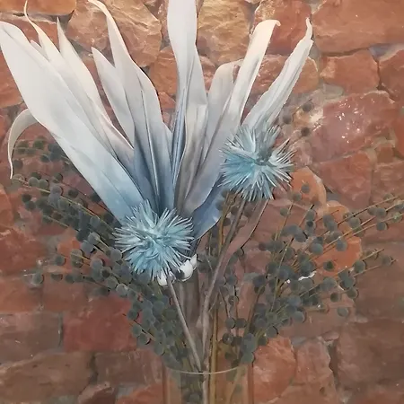 Appartement Fotinos *